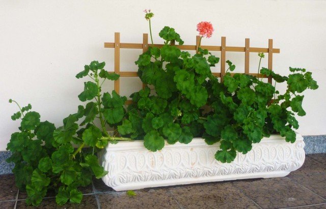 Fabrica de treliças de PVC para decoração de casas e jardins