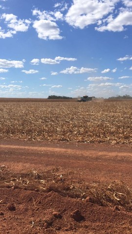Fazenda em Divinopolis. Lavoura. - Foto 3