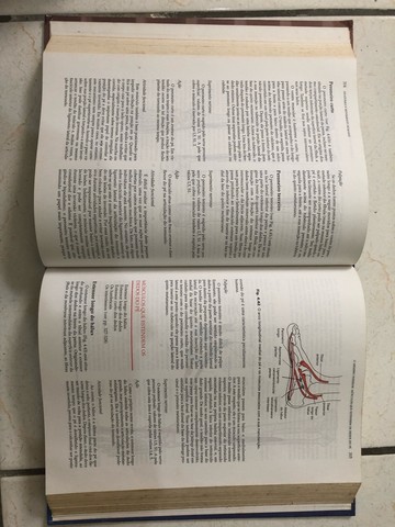 Livro Anatomia e movimento humano -  - Foto 3