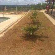 Lote à venda, Centro - Caetanópolis/MG - Foto 5