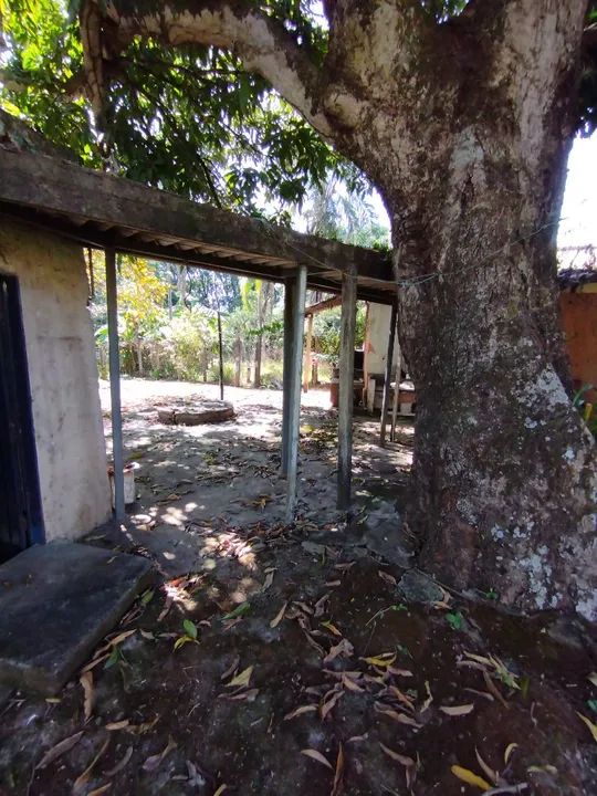 Oportunidade  - Foto 12