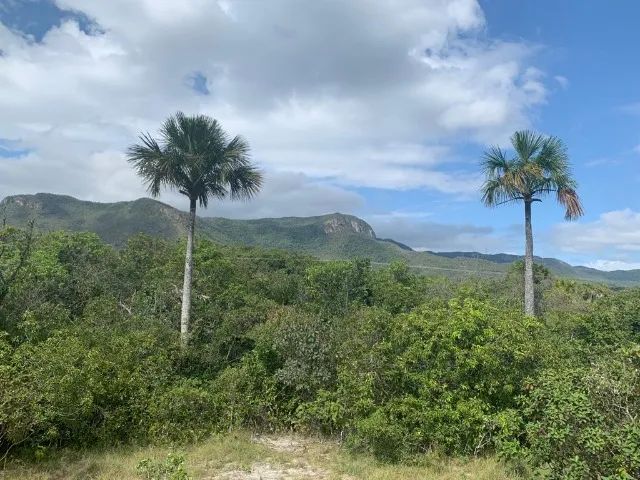 Chácaras na Chapada dos Veadeiros - 40.000m2 - Foto 3