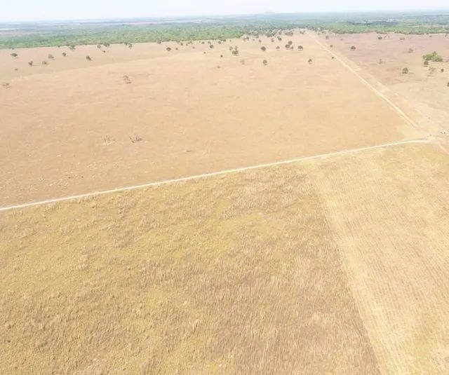 Fazenda em Silvanopolis. Dupla aptidão. - Foto 2