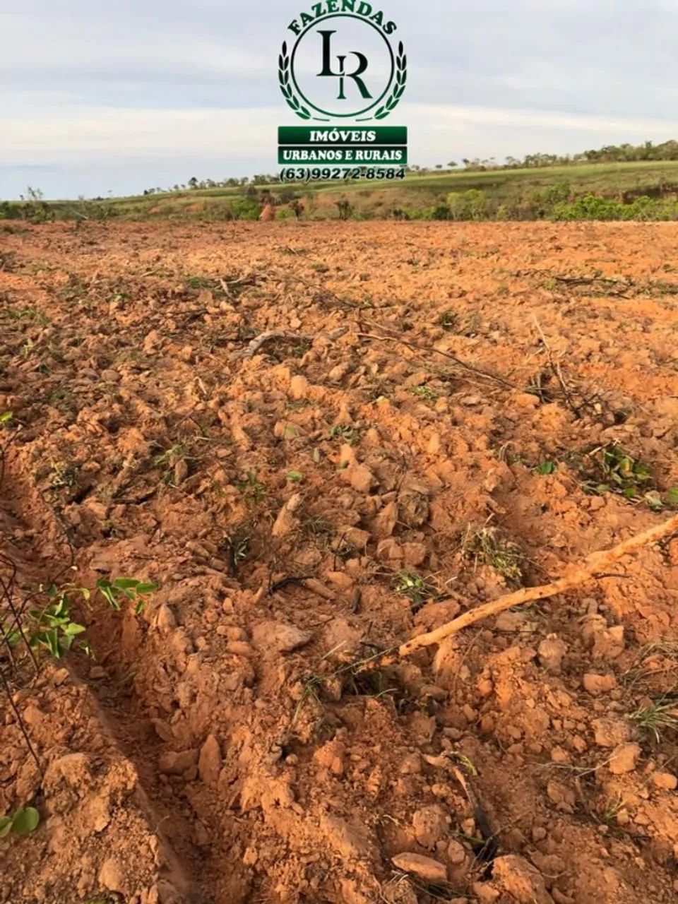 Fazenda 1.733 Hectares, Área para Lavoura Tocantins - Foto 4
