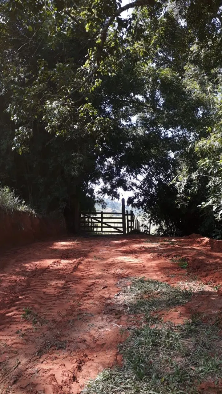 Excelente Propriedade Rural