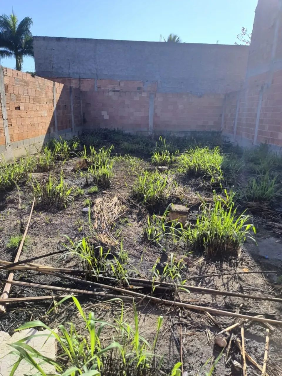 Ótimo terreno em Sepetiba - Foto 7