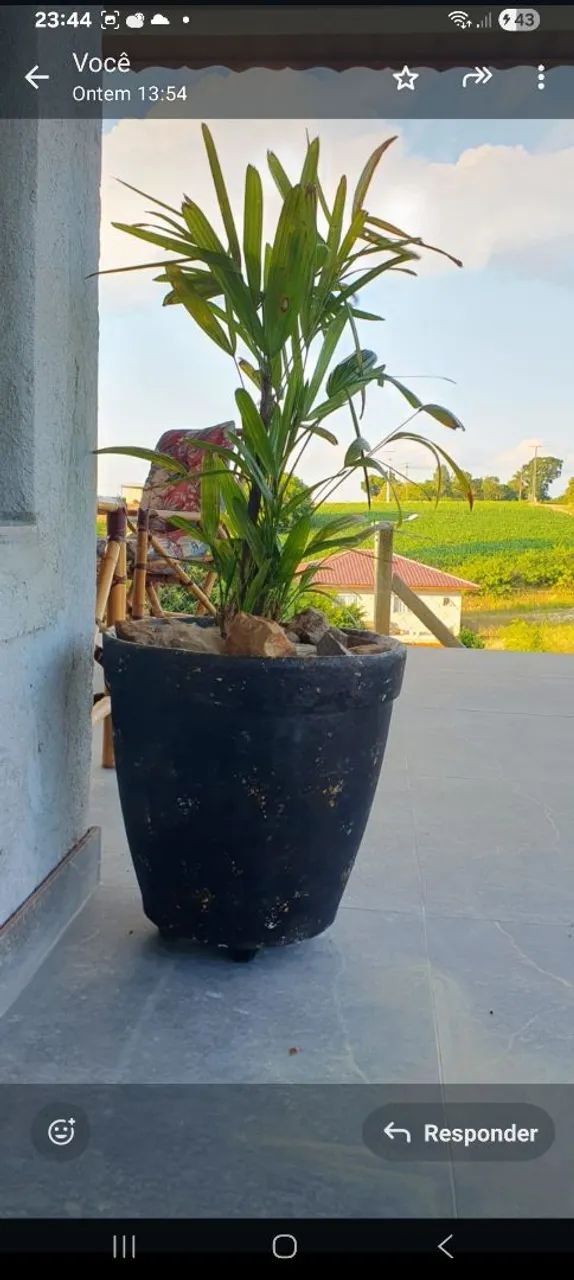 Vaso modelo romano de cimento.  Acabamento Resina acrilica Brilho acetinado *  - Foto 3