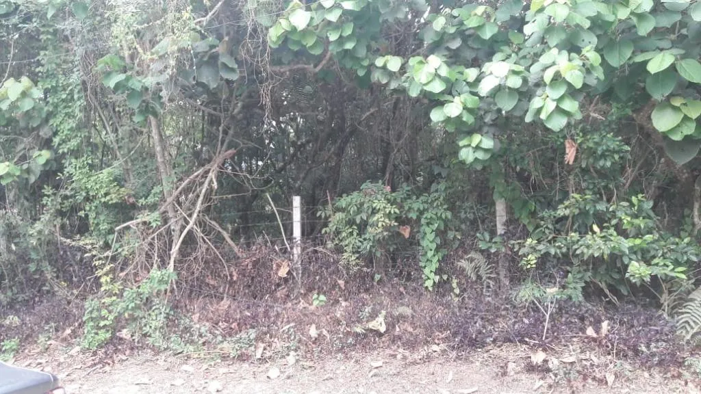 Granja Viana,, Terreno com 1560 m² Paisagem Renoir - Cotia/SP