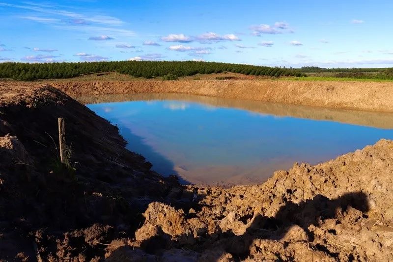 Escavadeira hidráulica e serviços de terraplanagem  - Foto 3