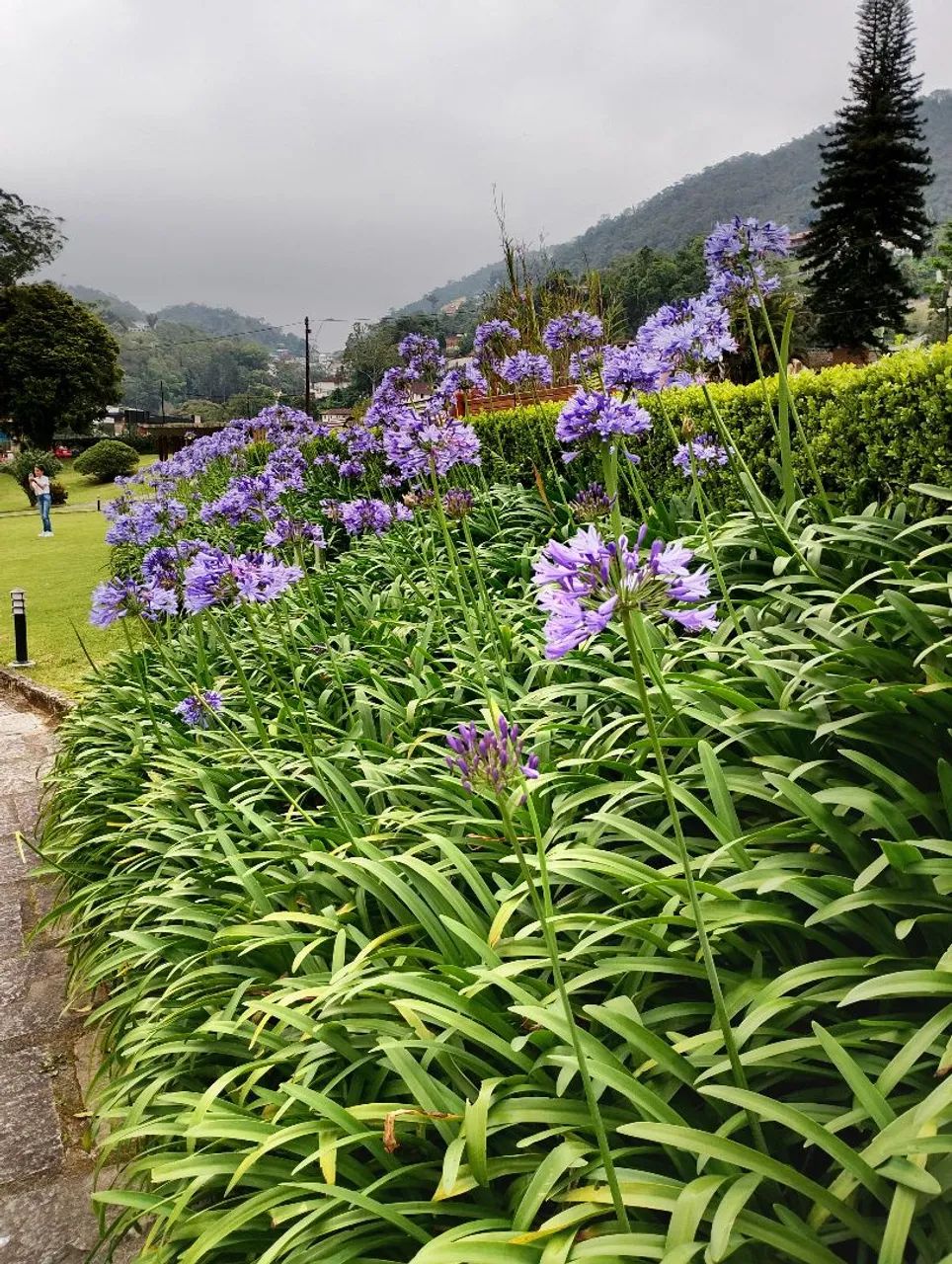 Camera GE A835 8Mp funcionando perfeitamente  - Foto 5