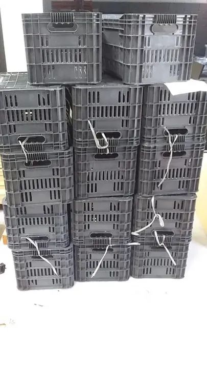 Caixa Plástica agrícola - Foto 2