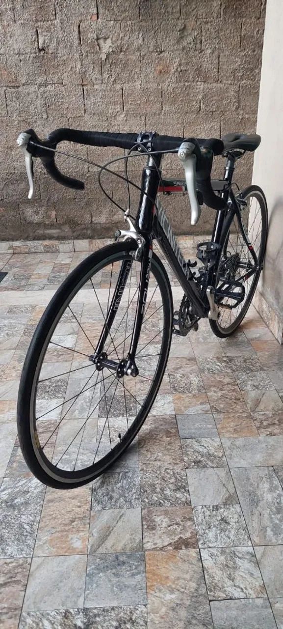 Bike speed,  modelo vicinitech 