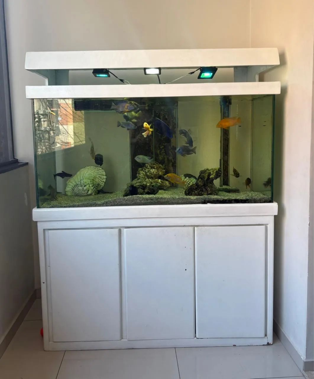 Aquário 64606581936259120