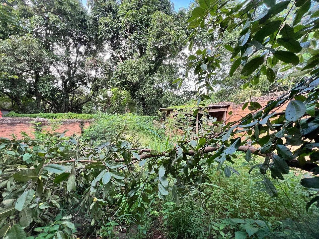 Terreno à venda, Vila Independência - Piracicaba/SP - Foto 3