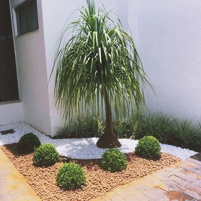 Diego Jardins - Foto 3