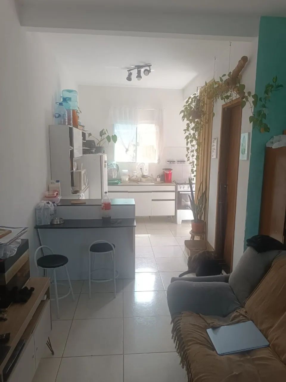 Foto - Florianópolis - São João do Rio Vermelho