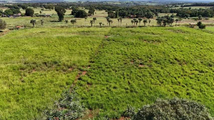 Excelente Chácara de 5.5 Hectares em Jaraguari-MS!  - Foto 2