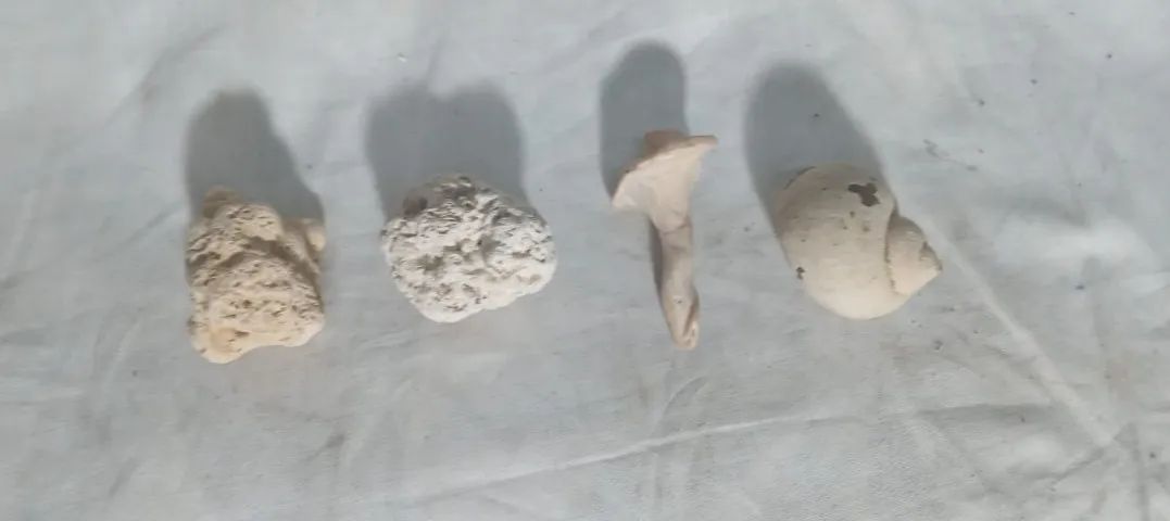 Decoração com Concha feita de madrepérola com uma borda - Foto 4