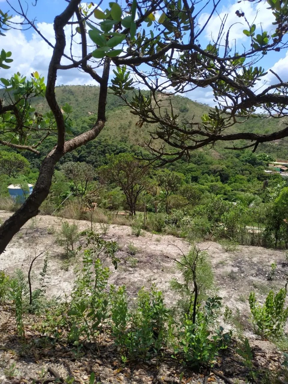 foto - Belo Horizonte - Coração Eucarístico