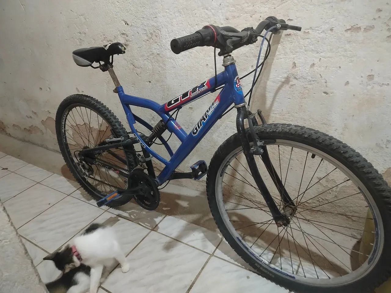 Bicicleta pra vender logo