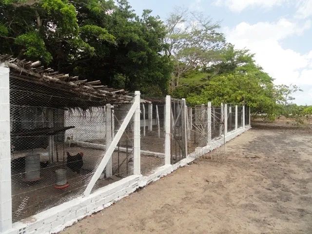 Sítio no município de Bayeux - Foto 8