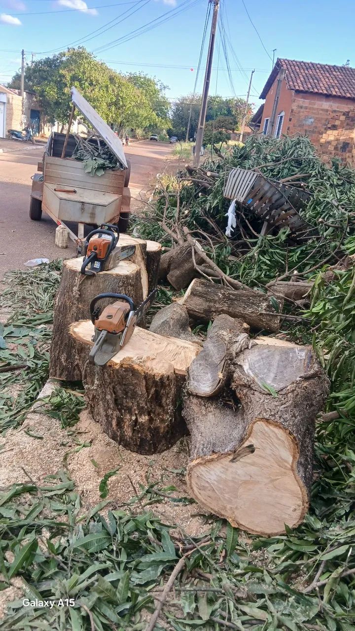 Podar de árvores e limpeza em geral  - Foto 3