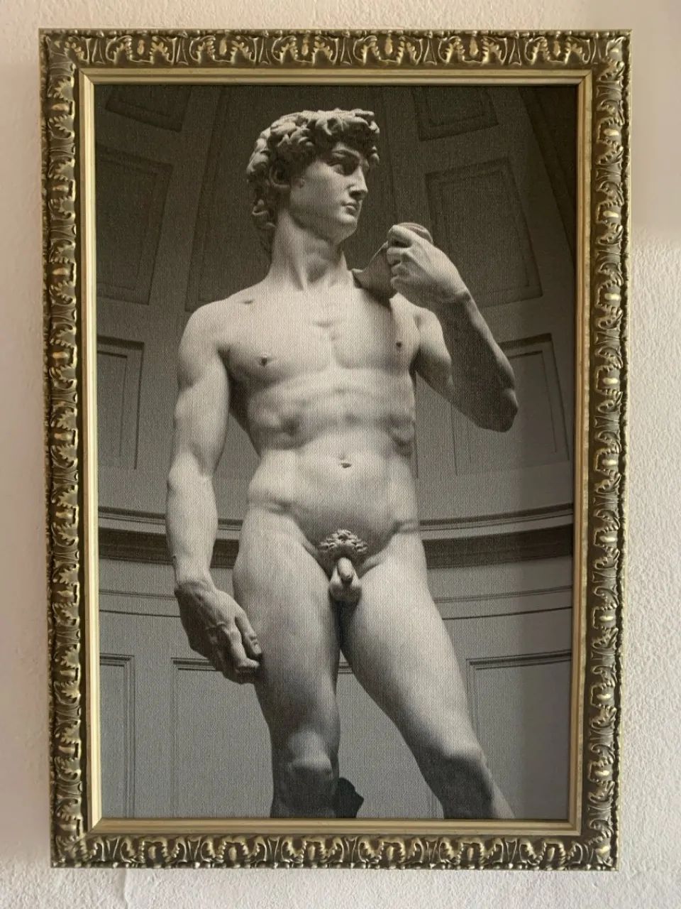 Canvas Davi de Michelangelo