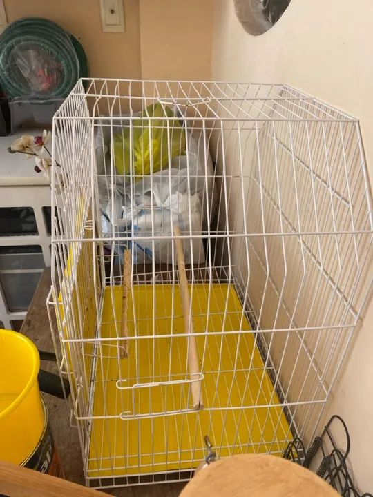 Gaiola para papagaio