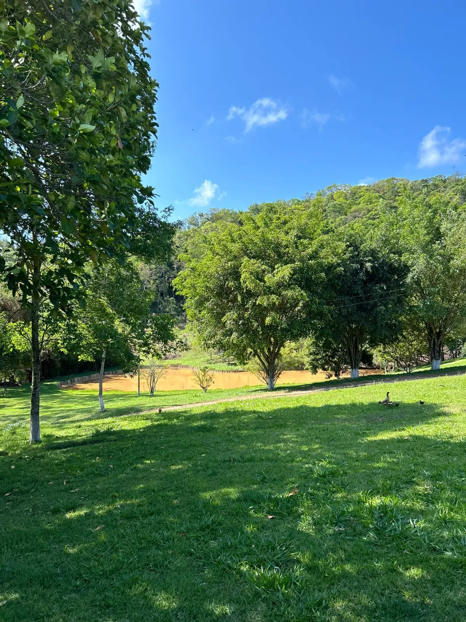 Aproveite os preços de lançamento no bairro mais promissor da região