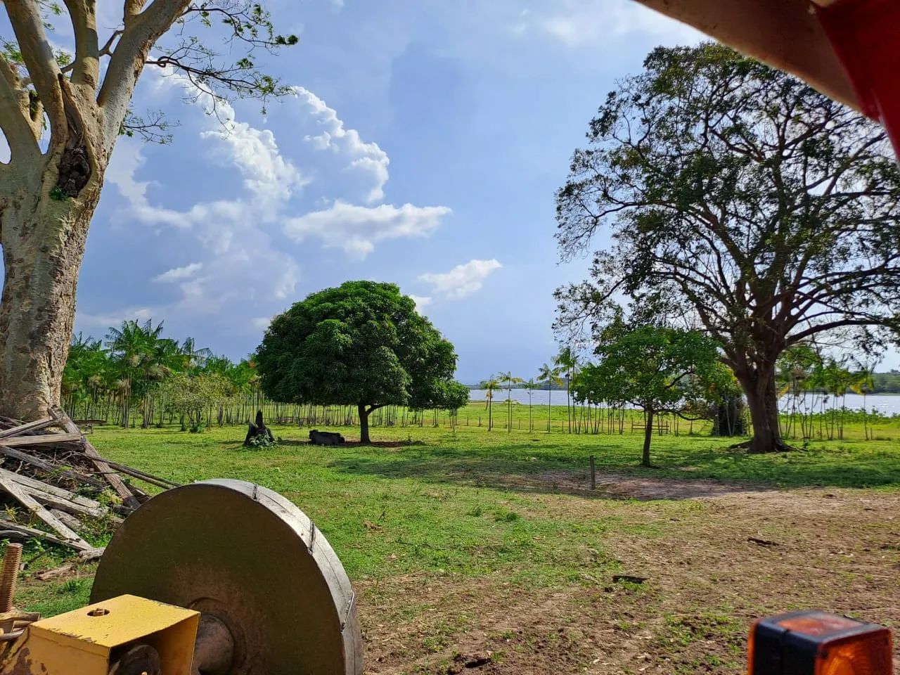 Fazenda para venda tem 3.000 Hectares, com búfalos, gado e trator em Santarém.PA - Foto 2