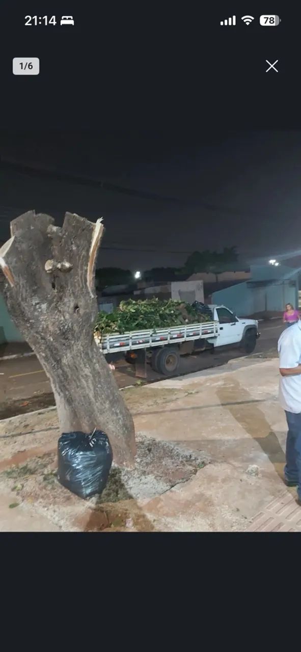 Podas de árvores e geral  - Foto 2