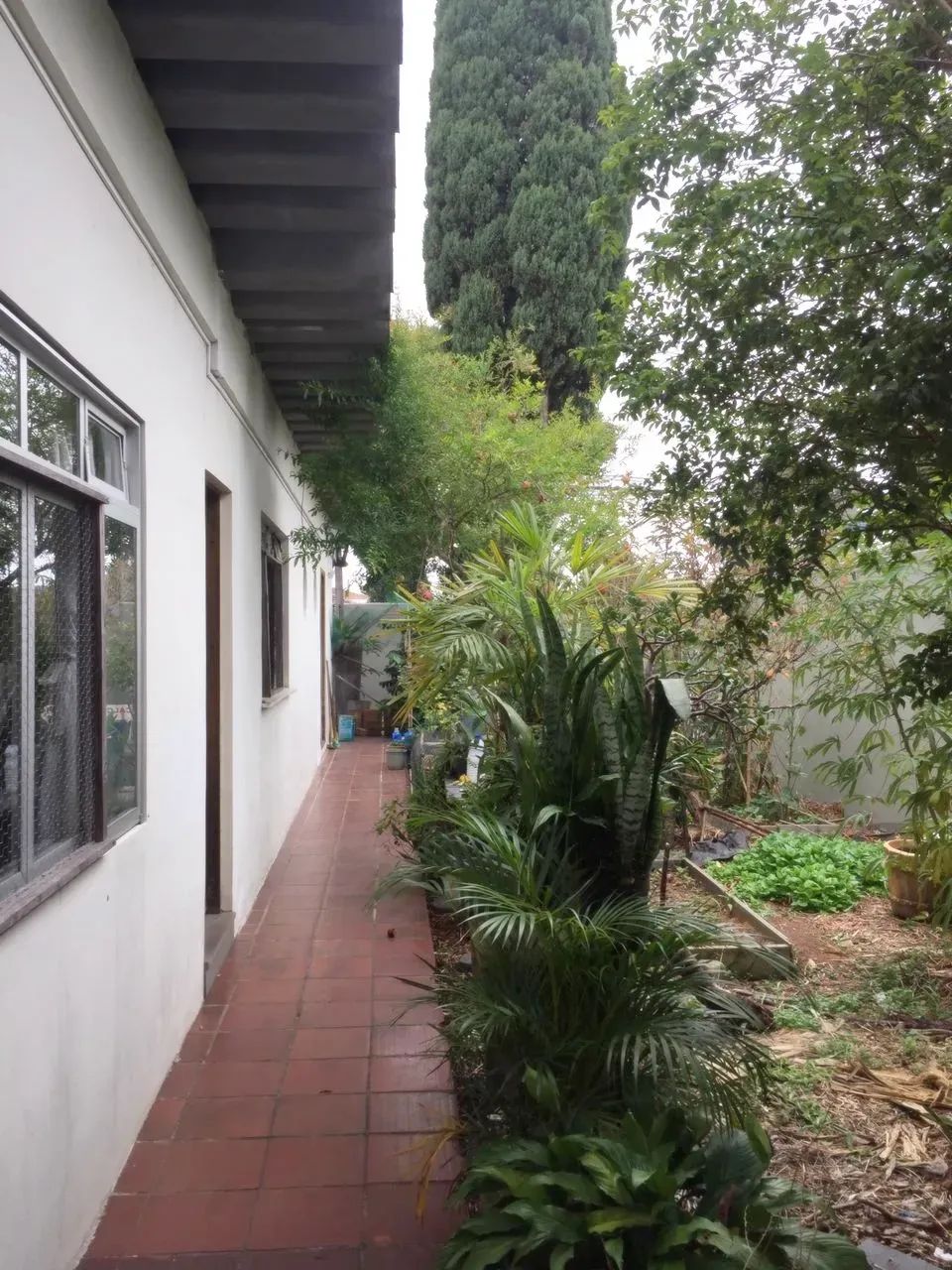 Terreno - Hauer - Foto 3