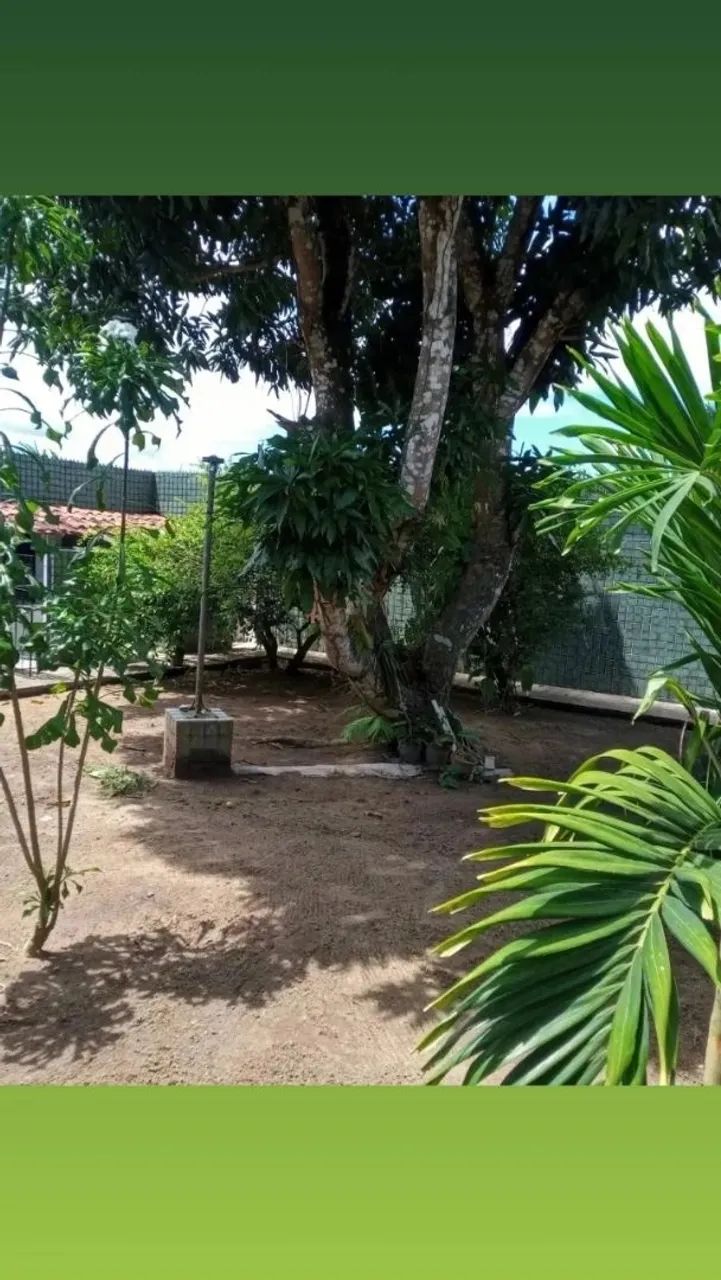 Maravilhosa casa de campo em Aldeia. Alugamos finais de semana e feriados. - Foto 10