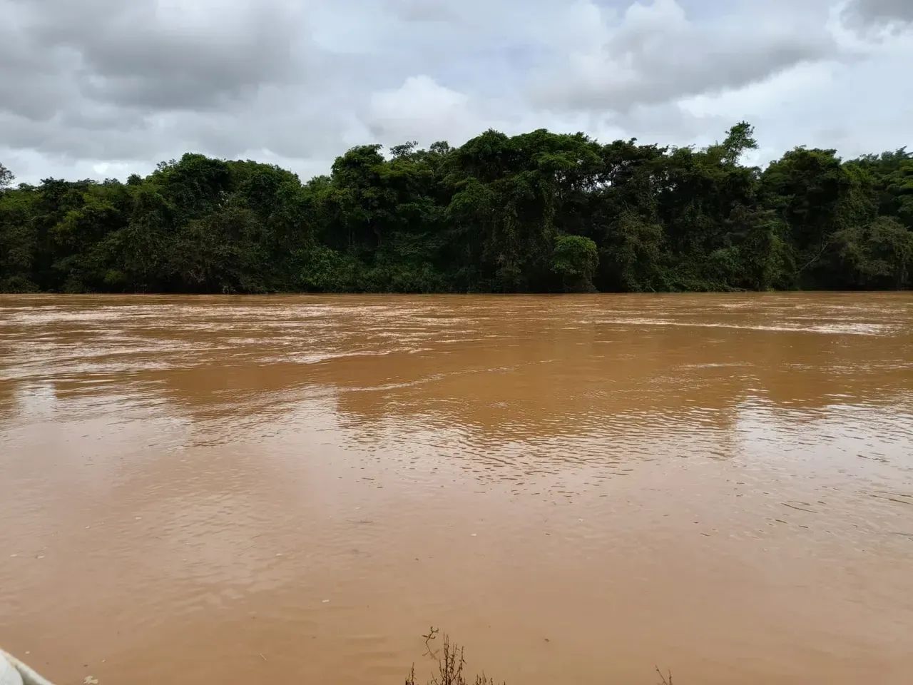 Fazenda a venda em Davinópolis Goiás!!! - Foto 3