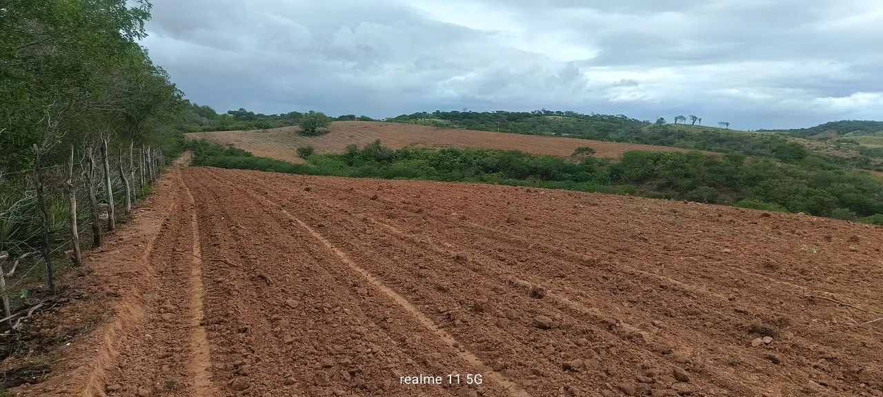 Terreno povoado barreiro Sítio do Quinto BA. - Foto 3