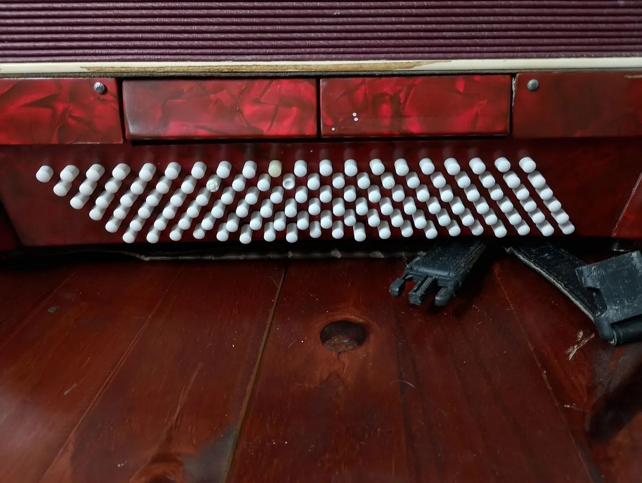 Acordeon  - Foto 2