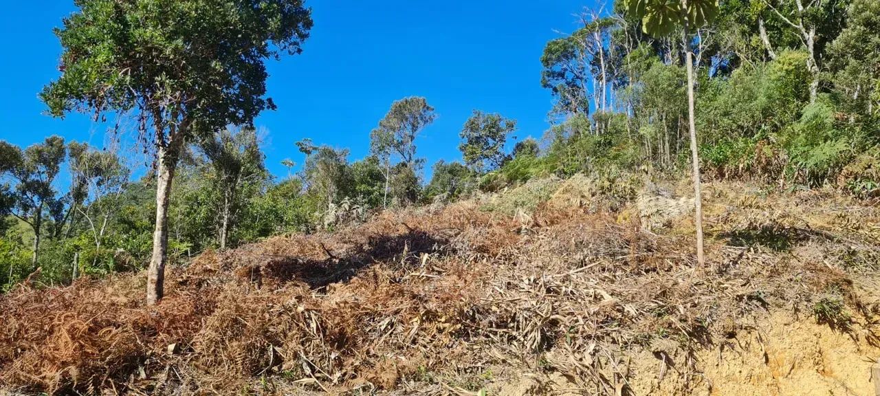 Sitio com escritura em Águas Mornas - SC - Foto 5