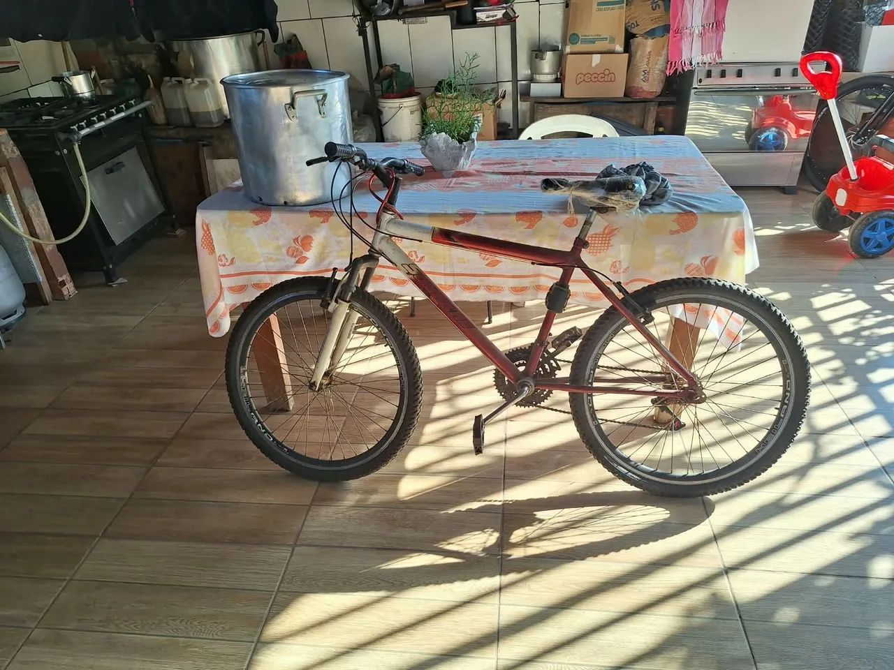 Vendo bicicleta 
