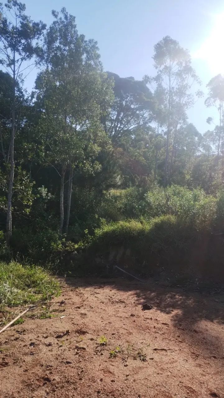 Terreno interior 