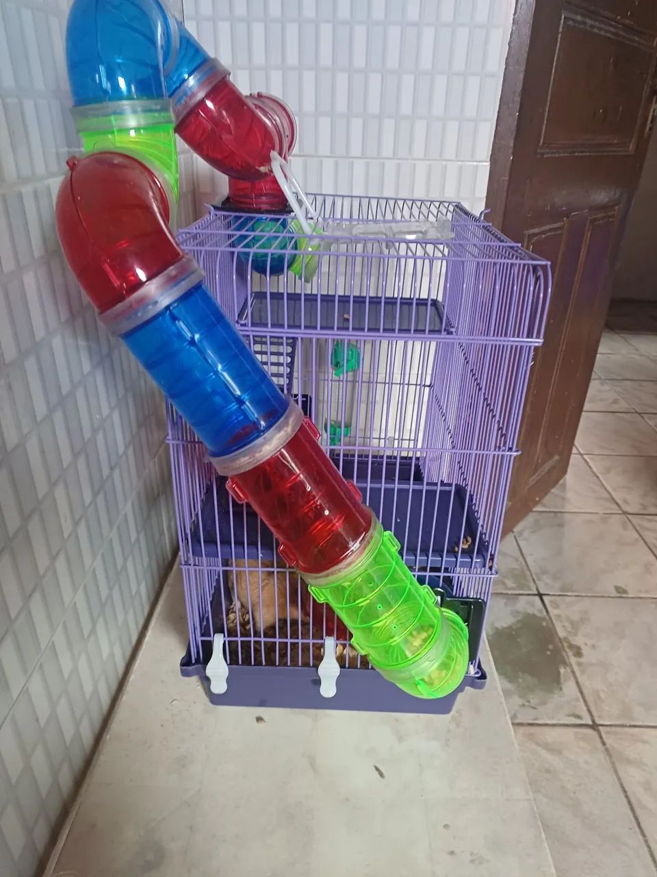 Vendo Hamster macho 