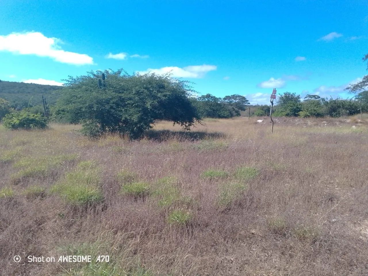 Fazenda em Morro de Chapéu  - Foto 4