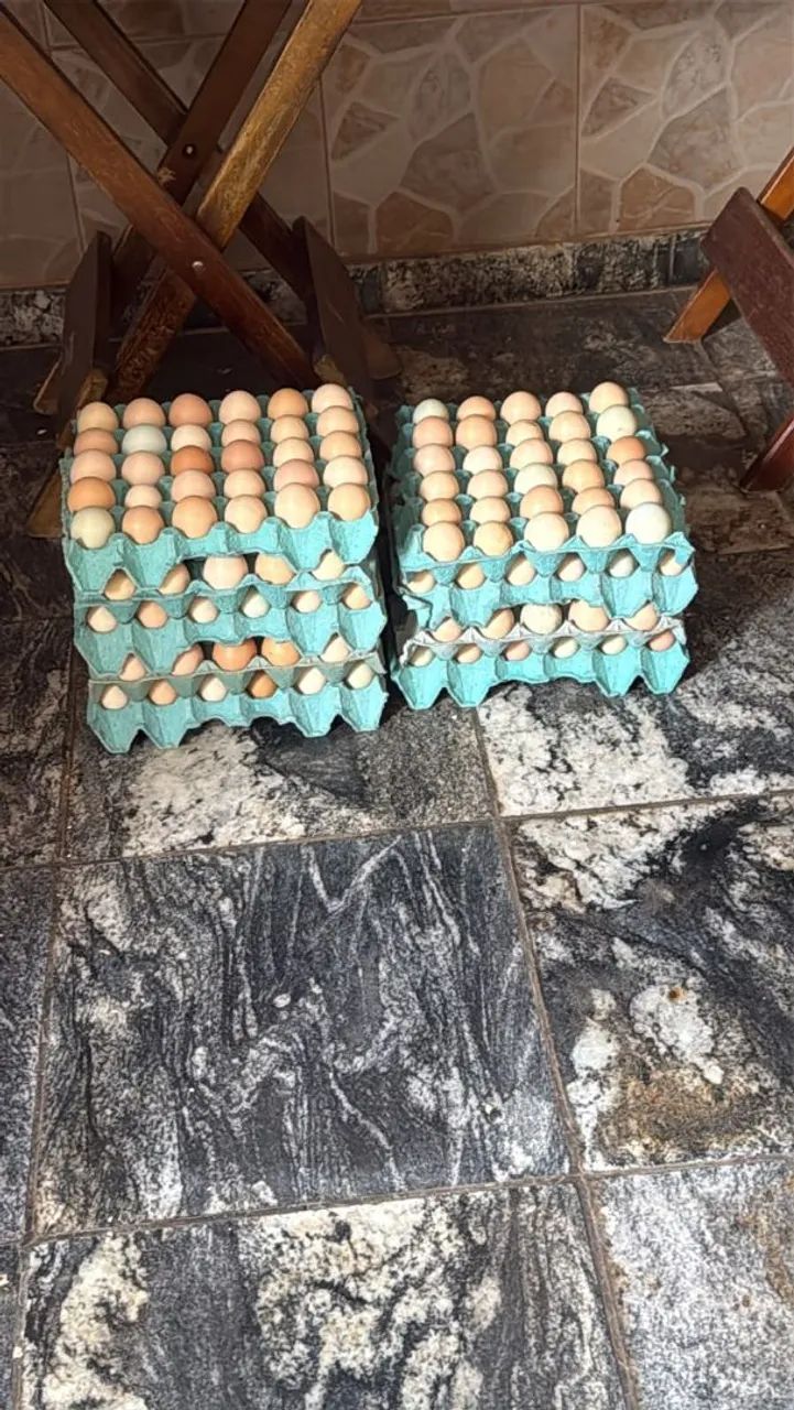 Temos ovos galado