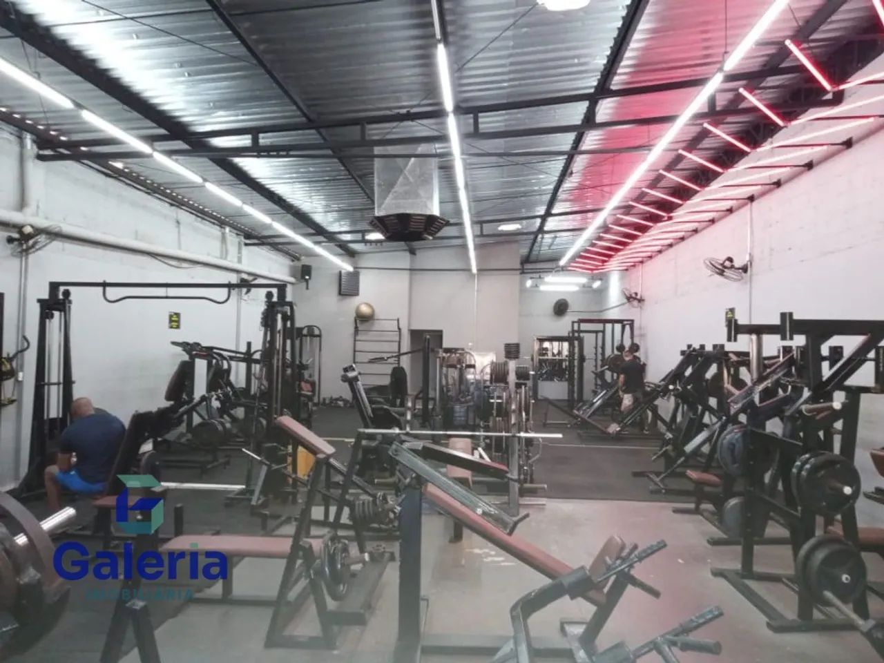 Salão comercial para alugar, 300m² - Vila Amélia - Foto 3