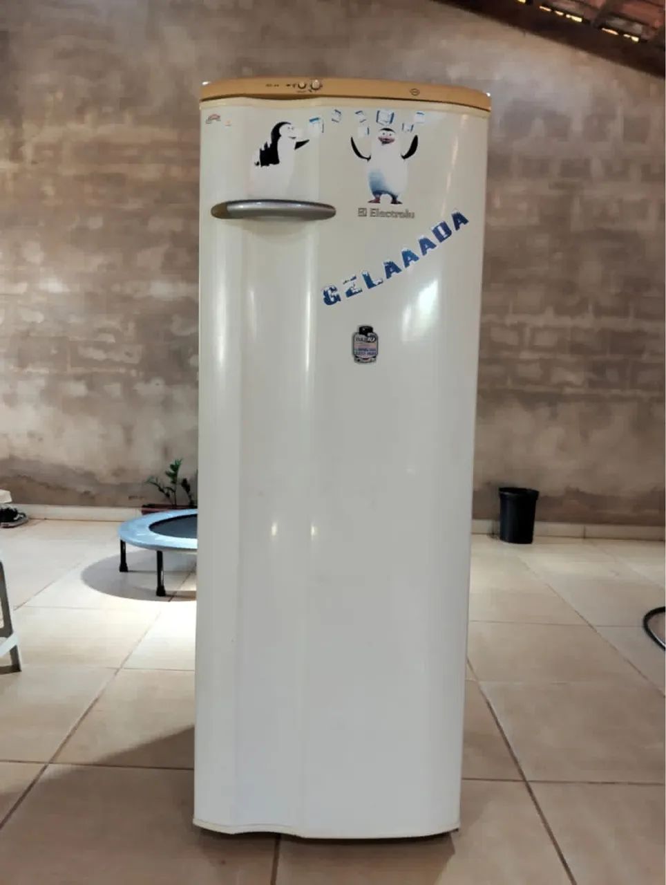 Geladeira Eletrolux 110v c/ degelo