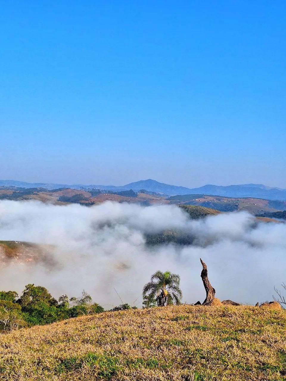 OPORTUNIDADE PARA INVESTIDORES E AMANTES DA NATUREZA - Foto 2