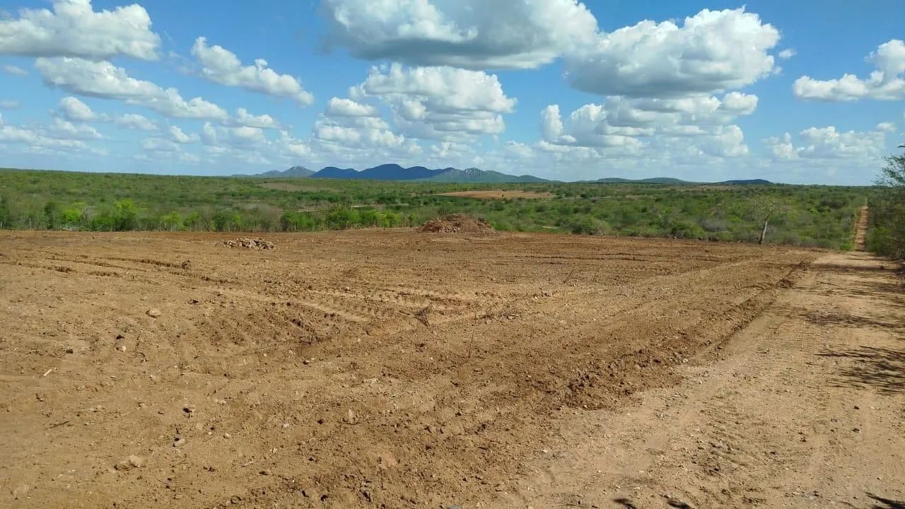 Vendo área 16 ha em produção em Boqueirão PB  - Foto 2