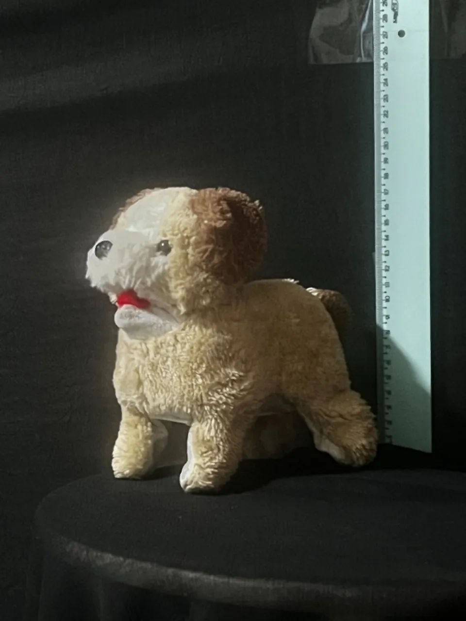 Pelucia