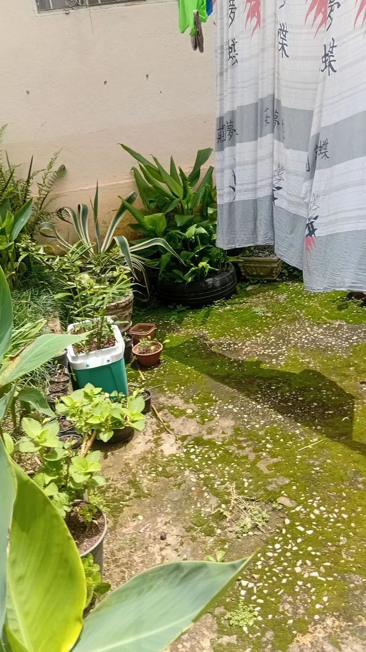 Casa conjugadas prox a prefeituracde contagem. - Foto 5