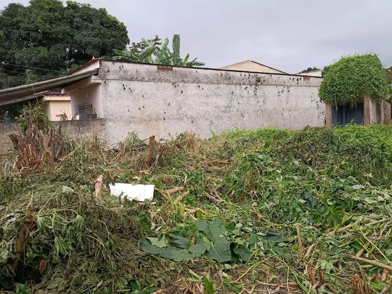 Terreno Piabetá Próximo ao centro  - Foto 2