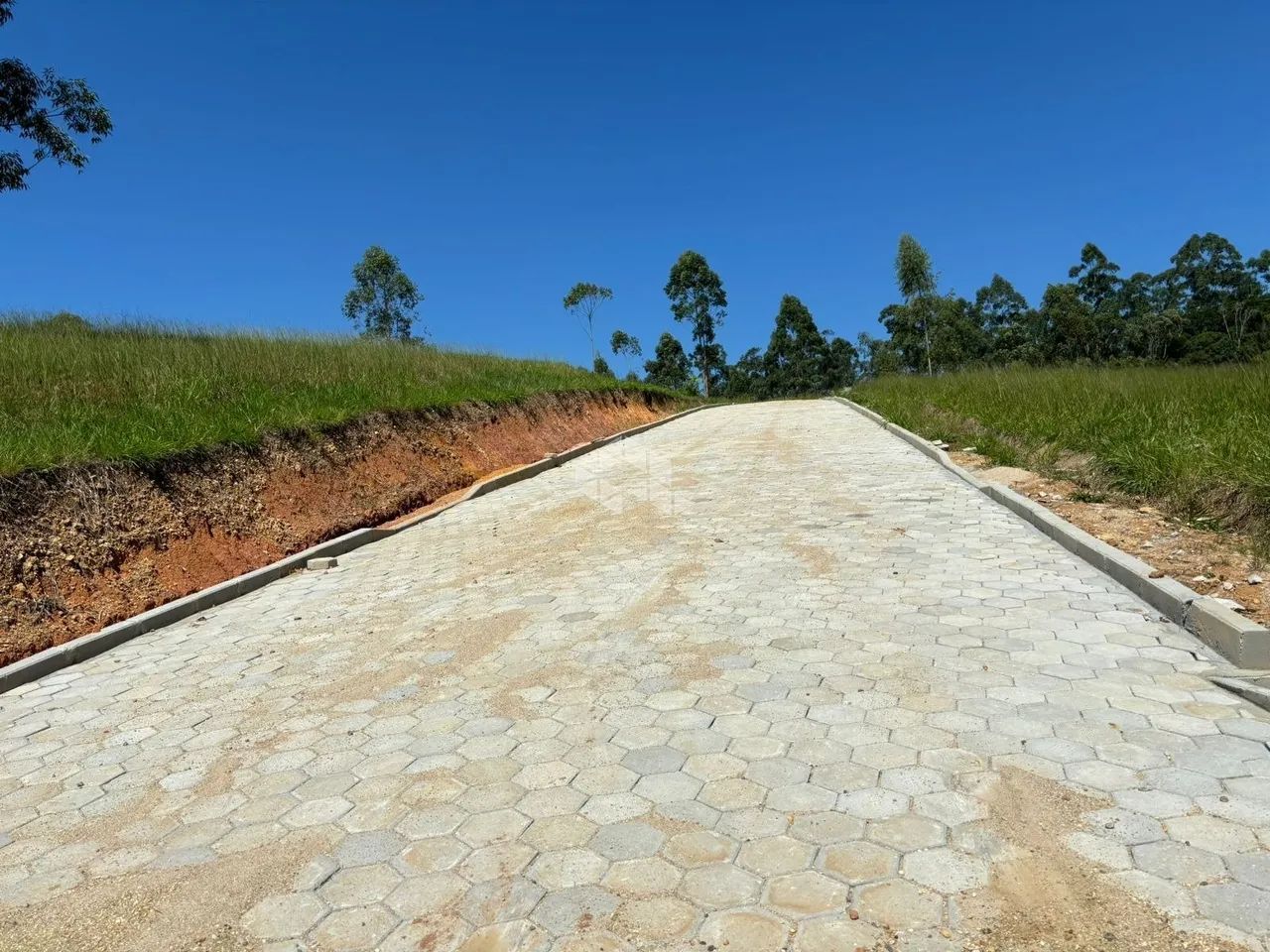 Terreno - Tijucas - SC - Foto 5